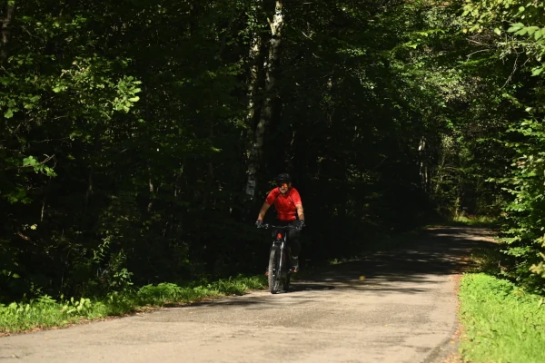 Rowerzysta w czerwonej koszulce jadący asfaltową ścieżką przez gęsty las.
